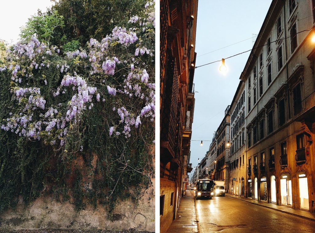 Lilacs and Italian street at dawn